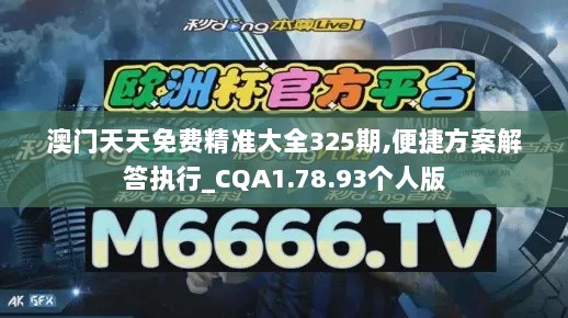 澳门天天免费精准大全325期,便捷方案解答执行_CQA1.78.93个人版