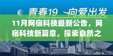 网宿科技新篇章，探索自然之美，启程心灵之旅的科技探索之旅