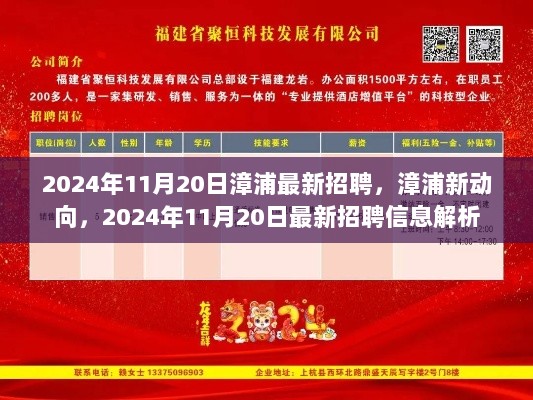 2024年11月20日漳浦最新招聘信息解析与动向追踪