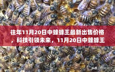 科技引领未来，11月20日中蜂蜂王智能蜂箱与最新售价揭秘