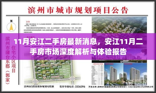 11月安江二手房市场深度解析与体验报告，最新消息与市场洞察