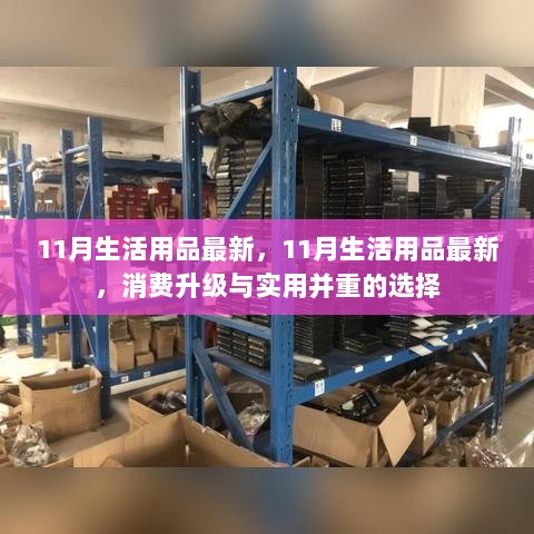 11月生活用品消费升级，实用并重的选择