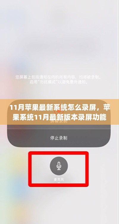 苹果系统11月最新版本录屏功能详解，从入门到精通的步骤指南