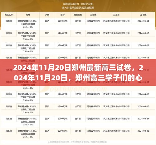 2024年11月20日郑州高三学子心灵之旅，最新试卷的挑战与成长