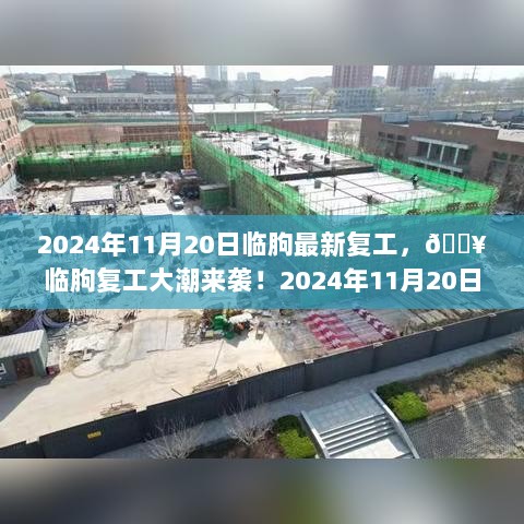 临朐复工大潮，2024年11月20日最新动态等你准备！