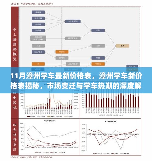 漳州学车价格新动态，市场变迁与学车热潮的深度解析