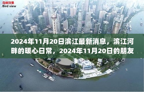 滨江河畔的暖心日常，2024年11月20日的朋友与爱之滨江最新消息