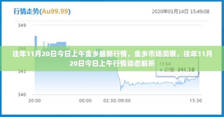 往年11月20日上午金乡市场行情动态深度解析与市场洞察