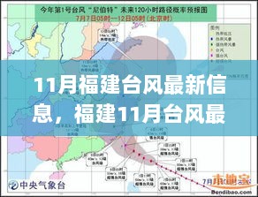 11月福建台风深度解析与最新信息体验报告