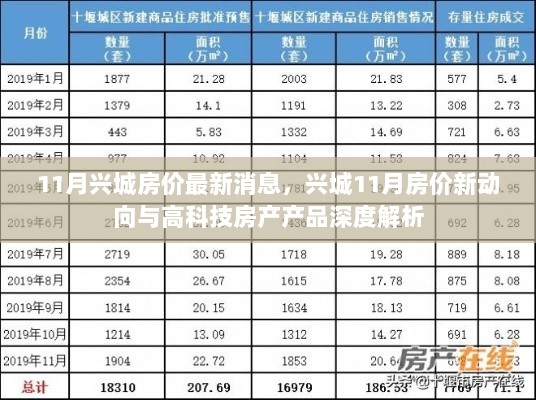 11月兴城房价新动向与高科技房产产品深度解析，房价走势及科技住宅解析