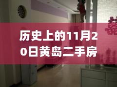 揭秘11月20日黄岛二手房市场新动态，精选房源抢先看