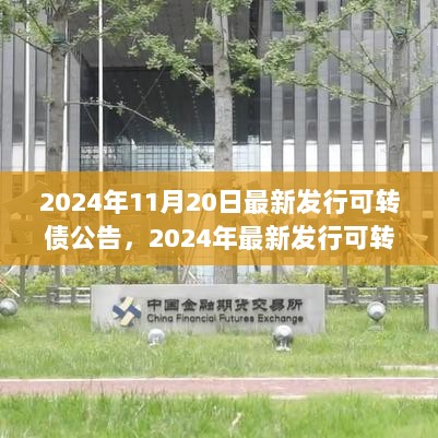 2024年最新发行可转债公告与投资指南，从入门到精通的详细步骤