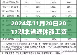 2024年11月20日湖北省退休工资上涨的温馨故事，退休生活因涨薪而更美好