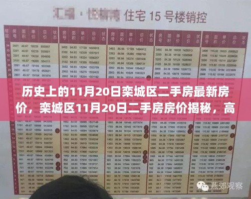 高科技助力房产交易新体验，揭秘11月20日栾城区二手房最新房价