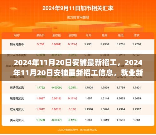 2024年11月20日安铺最新招工信息，共筑美好未来，把握就业新机遇