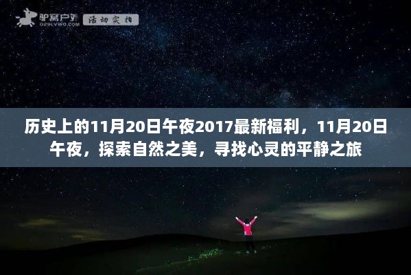 11月20日午夜，探索自然之美，寻找心灵的平静之旅（历史时刻与最新福利的交汇）