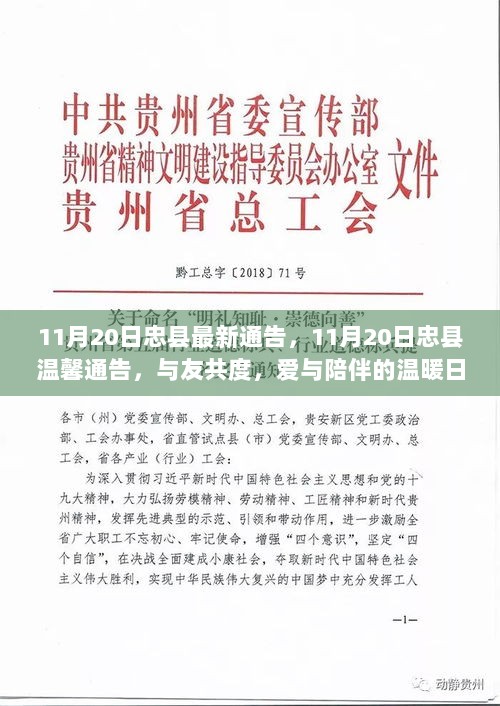 忠县11月20日温馨通告，爱与陪伴的温暖日常共度时光