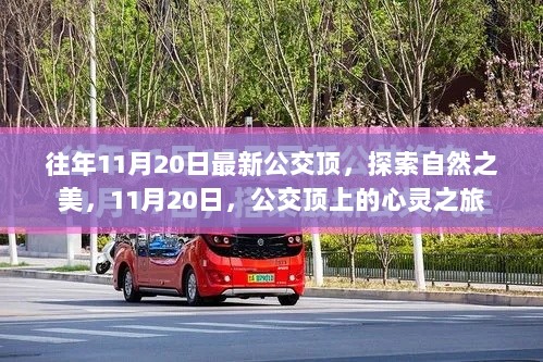 11月20日公交顶之旅，探索自然之美的心灵之旅