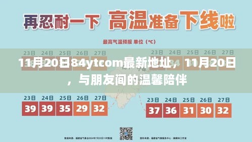 11月20日与朋友共度温馨时光，84ytcom最新地址的陪伴之旅