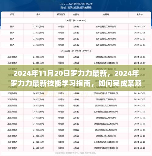 2024年罗力力最新技能学习指南，如何高效完成特定任务