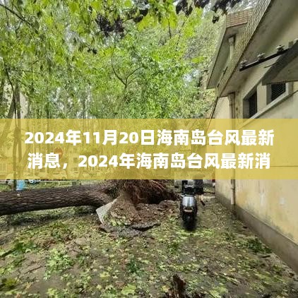 2024年海南岛台风最新消息及气象影响与社会应对策略分析