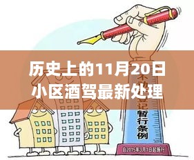 历史上的11月20日，小区酒驾事件最新处理办法详解