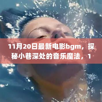 11月20日最新电影bgm，探秘小巷深处的音乐魔法秘密花园