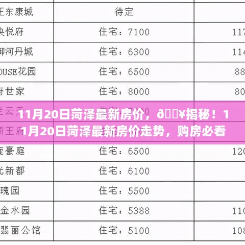 菏泽11月20日最新房价走势揭秘，购房必看！