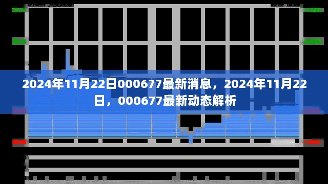 2024年11月22日000677最新动态解析与消息更新