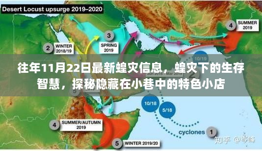 11月22日蝗灾信息与生存智慧，探秘特色小店中的生活智慧