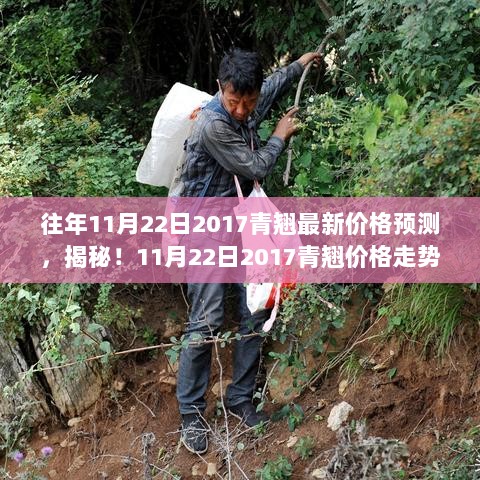 揭秘11月22日2017青翘价格走势预测，探寻特色小店背后的市场秘密