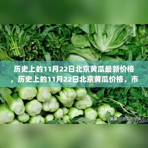 历史上的11月22日北京黄瓜价格市场动态与经济视角的探讨