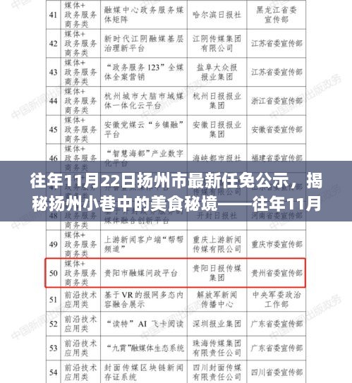 往年11月22日扬州市任免公示与小巷美食的双重探索之旅