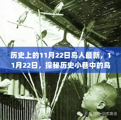 历史上的11月22日，探秘鸟人小店的独特魅力