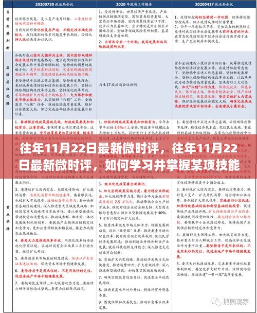 往年11月22日微时评，如何学习并掌握某项技能或任务的详细步骤指南