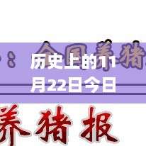 11月22日科技新风下的智能猪价预测与未来生活体验