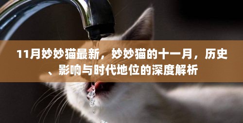 11月妙妙猫，历史、影响与时代地位的深度解析