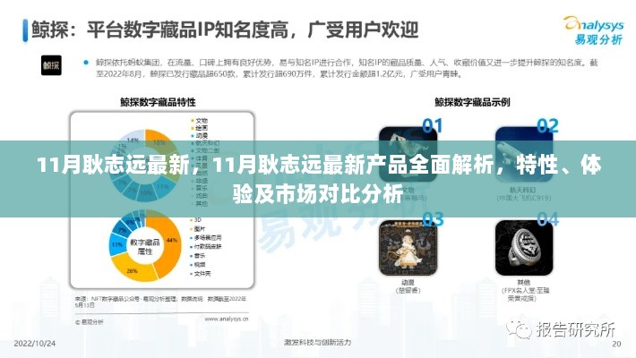 11月耿志远最新产品全面解析，特性、体验及市场对比分析