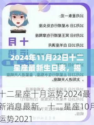 2024年11月22日十二星座生日表，揭秘星座与命运之我见