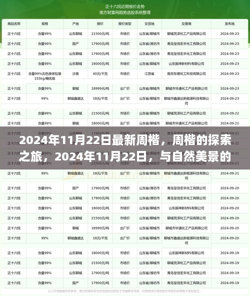 周楷的探索之旅，2024年11月22日与自然美景的邂逅