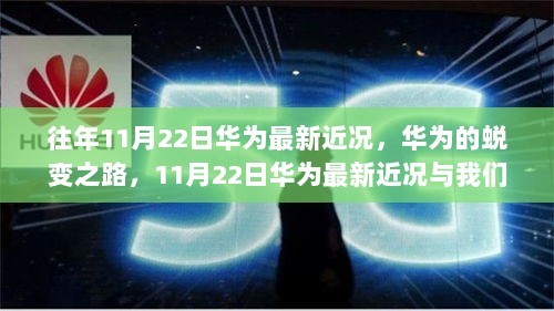 往年11月22日华为的蜕变之路与我们的成长之旅