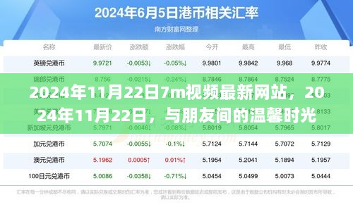 2024年11月22日与朋友共度的温馨时光，7m视频最新网站回忆录