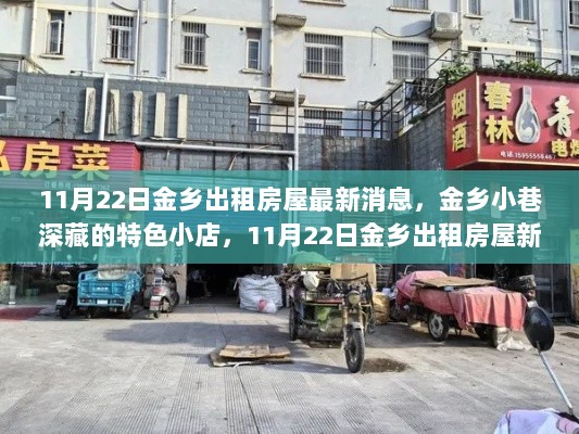 金乡出租房屋新动态，小巷深藏的特色小店与最新房源信息