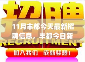 11月丰都最新招聘信息，求职路上展翅翱翔的励志篇章