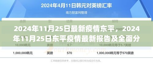 2024年11月25日东平疫情最新报告及全面分析