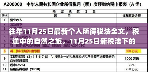 新税法下的心灵之旅，11月25日个人所得税法全文解析与税途中的自然之旅