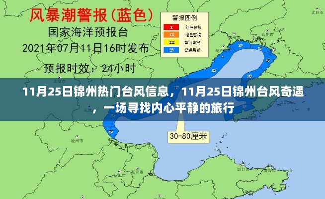 11月25日锦州台风奇遇与寻找内心平静的旅行