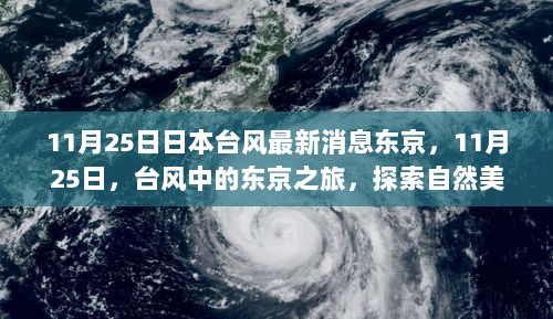 11月25日台风下的东京之旅，探索自然美景，寻找内心的平静