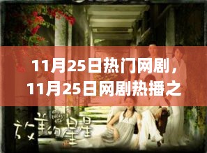 11月25日网剧热播之夜，暖心陪伴的温馨日常剧热门推荐