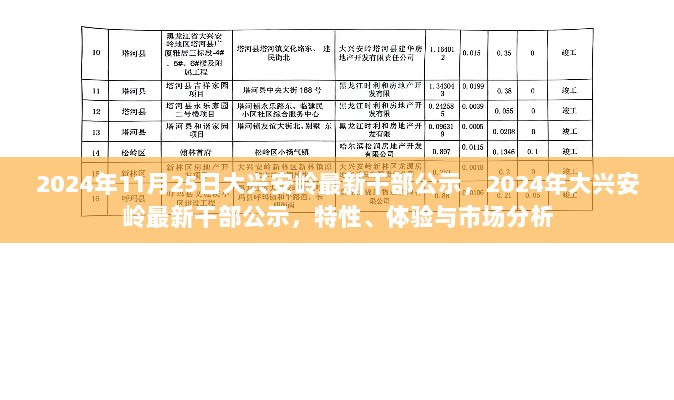 大兴安岭2024年干部公示，特性、体验与市场分析的深度解读